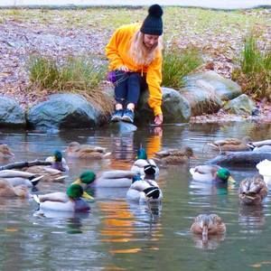 Meet your Posher, Sheala